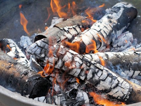 Restaurant traditionnel avec formule spéciale grillade au feu de bois à Savenay